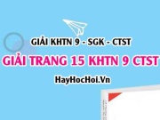 Giải KHTN 9 trang 15 Chân trời sáng tạo SGK